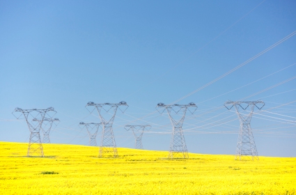 Power lines and rapeseed oil plants, Western Cape, South Africa