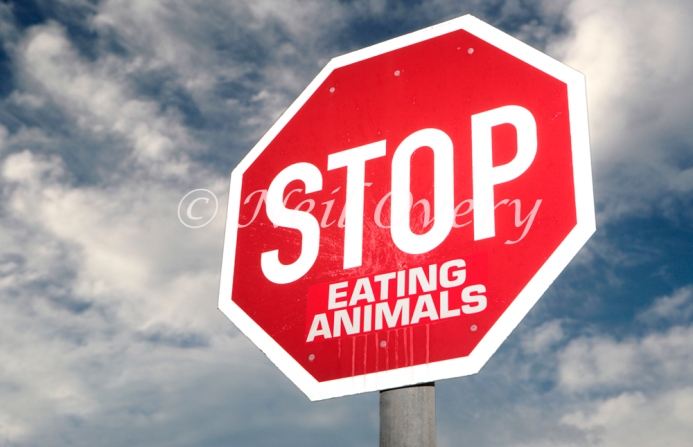 Street sign which has been changed to read, 'Stop Eating Animals', Cape Town, South Africa