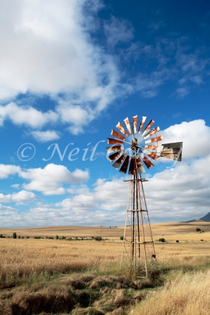 Wind pump (for extracting wate)r in field, Overberg, Western Cape, South Africa